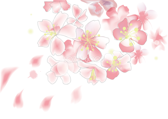 桜 イラスト 壁紙詳細 15位