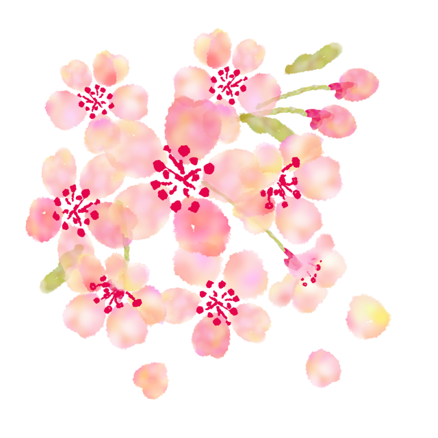 桜 イラスト 手書き詳細 13位
