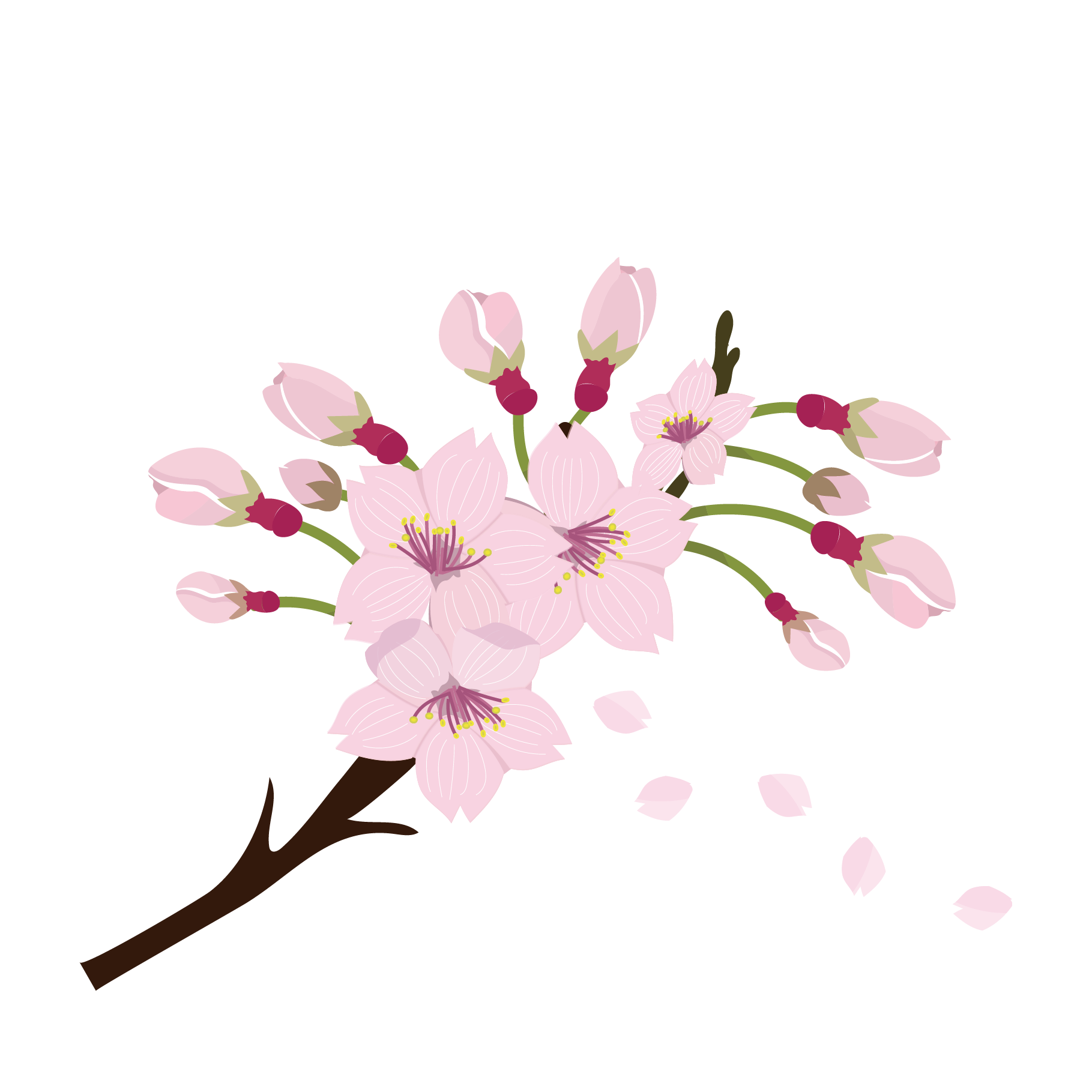 桜 イラスト 素材詳細 8位