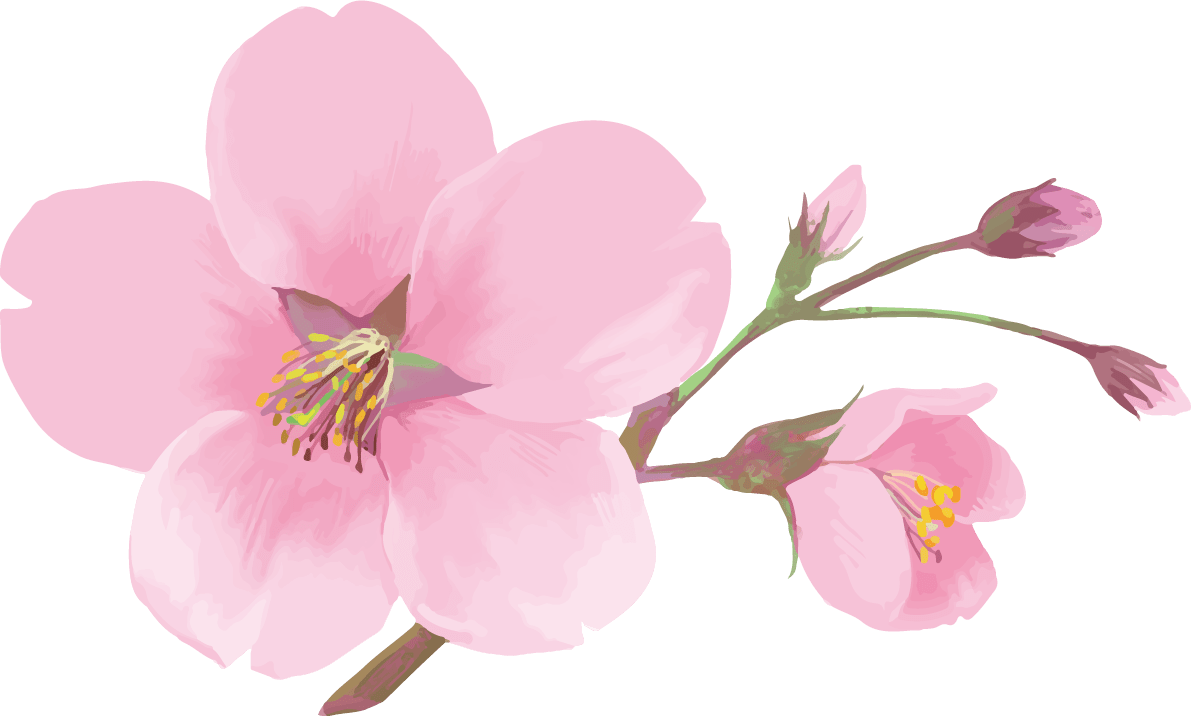 桜 イラスト 綺麗詳細 3位