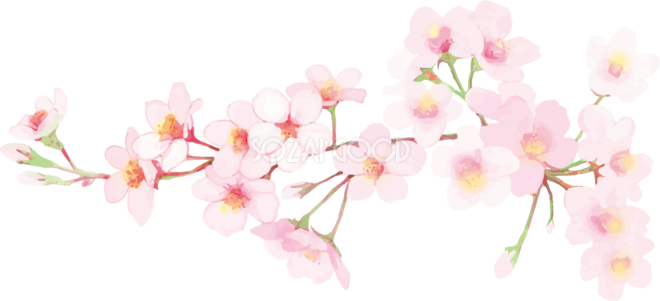 桜 イラスト 綺麗詳細 9位
