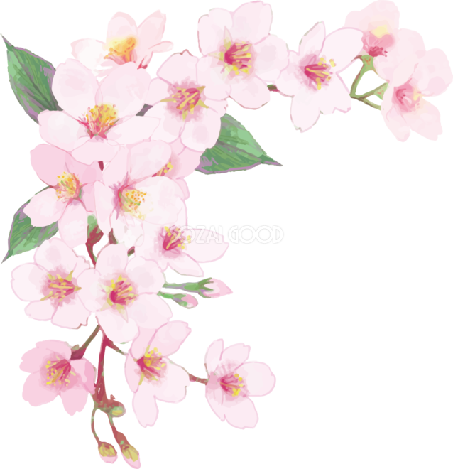 桜 イラスト 綺麗詳細 10位