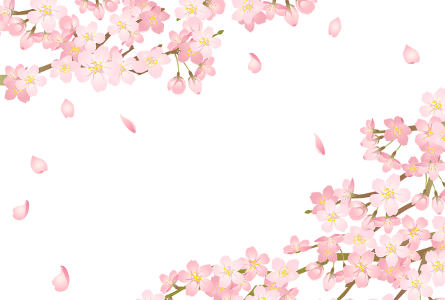 桜 イラスト 背景 透過詳細 12位