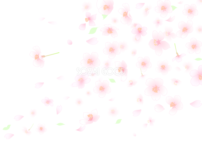 桜 イラスト 背景 透過詳細 14位