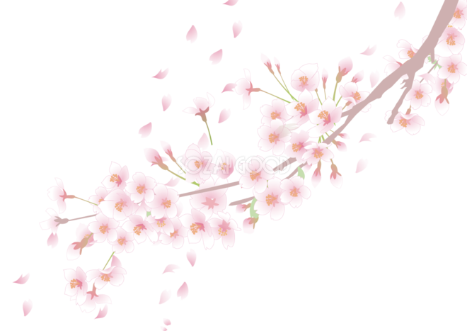 桜 イラスト 背景 透過詳細 7位