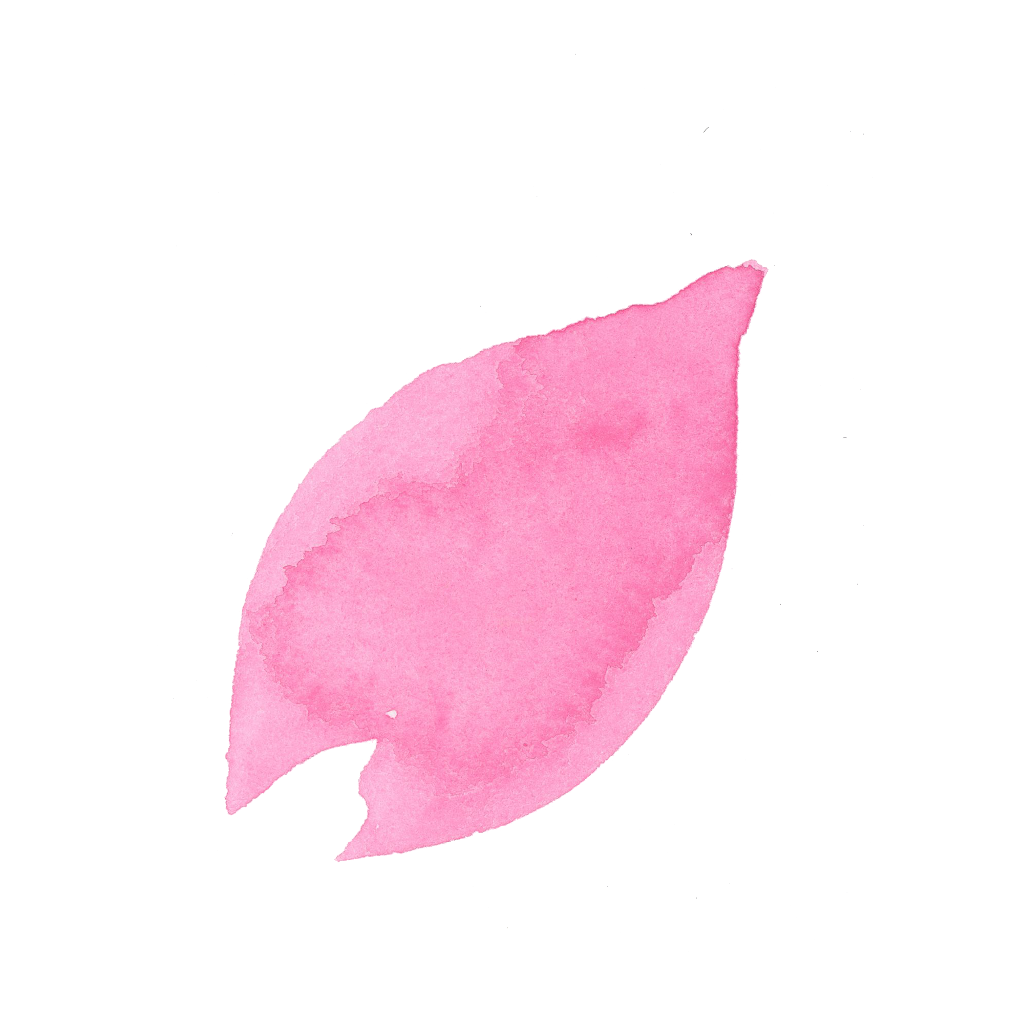 桜 イラスト 花びら - KibrisPDR
