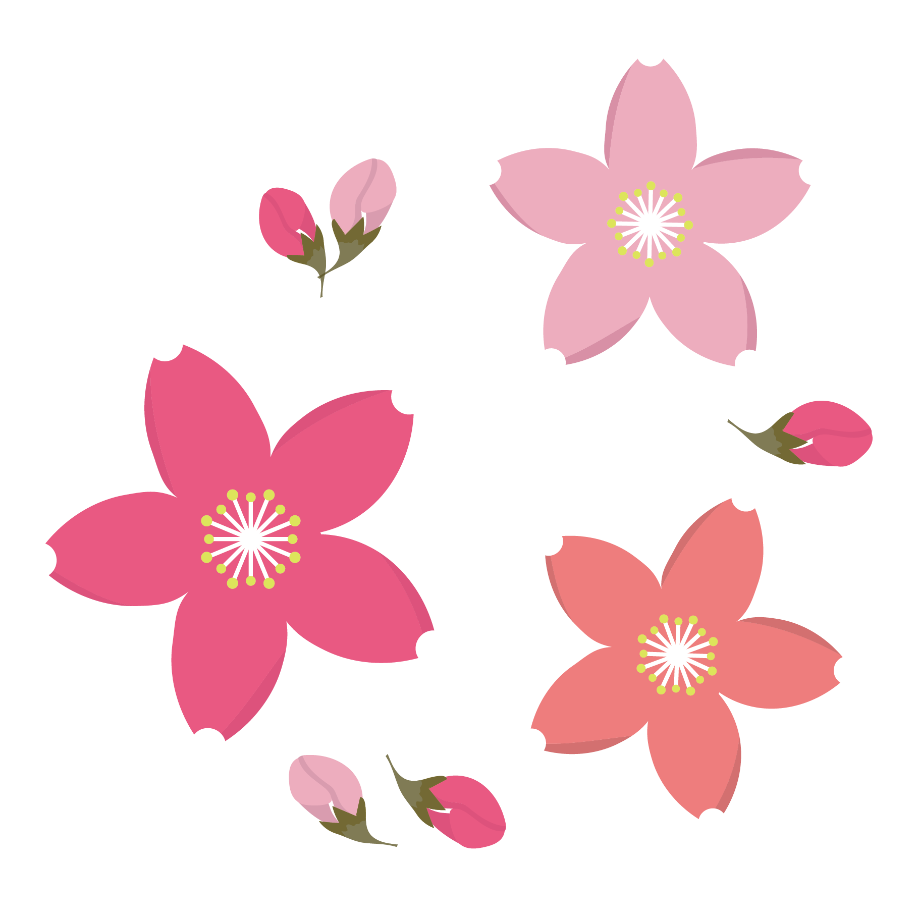 桜 イラスト 高 画質 - KibrisPDR