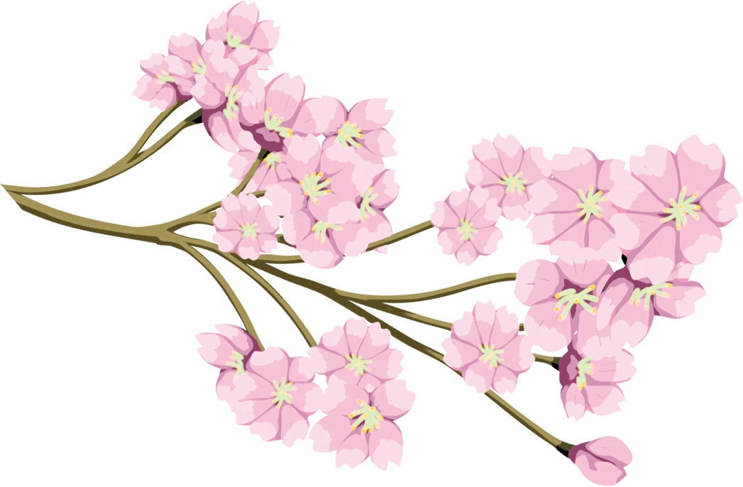 桜 フリー 画像詳細 9位