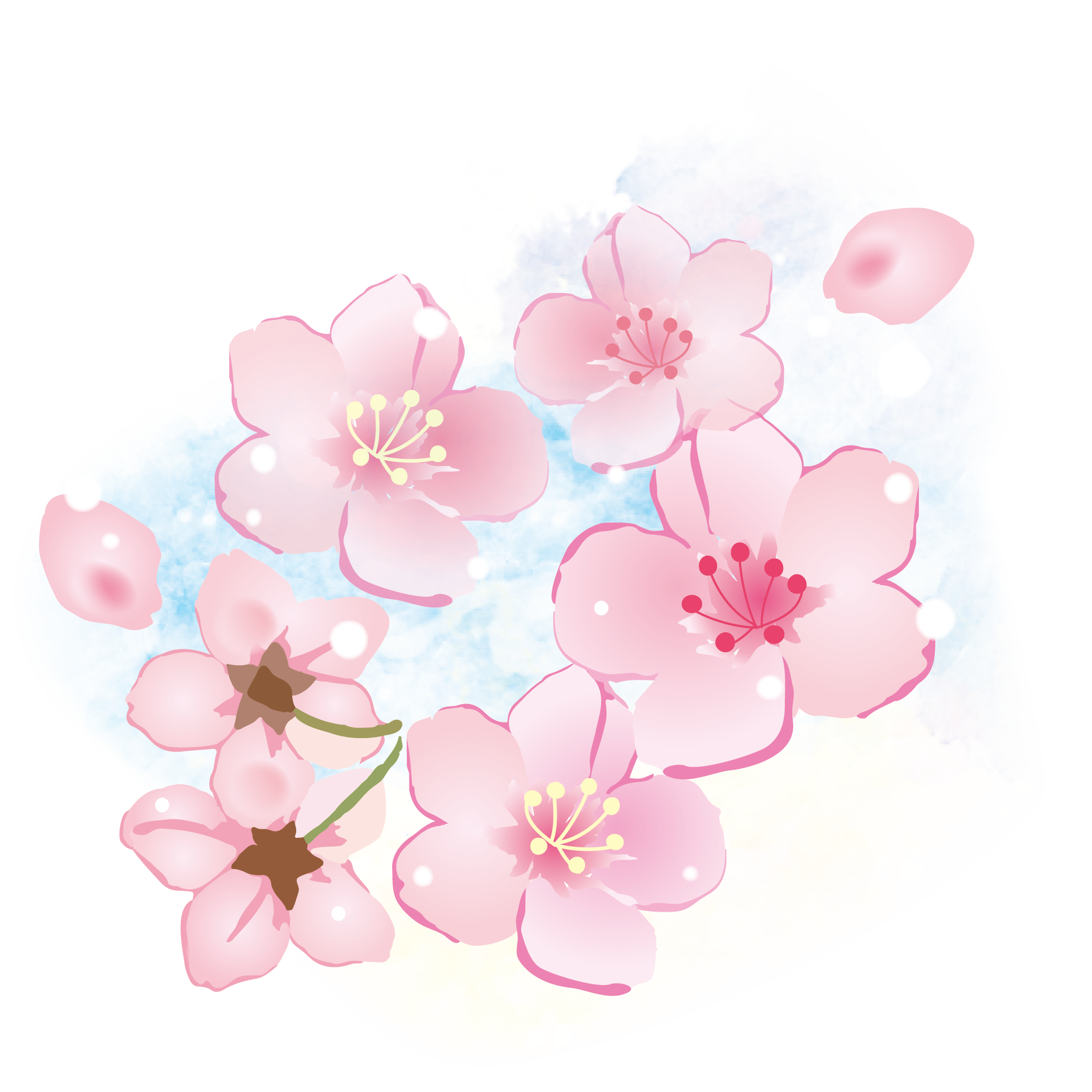 桜 フリー 画像詳細 3位