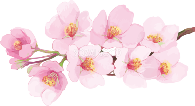 桜 フリー 画像詳細 5位