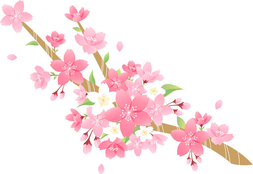 桜 フリー 素材 イラスト詳細 10位