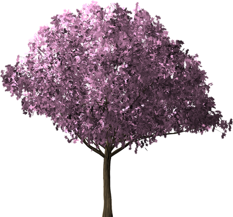 桜 写真 フリー詳細 4位