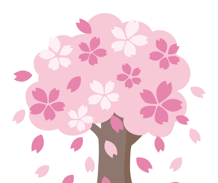 桜 吹雪 画像詳細 11位