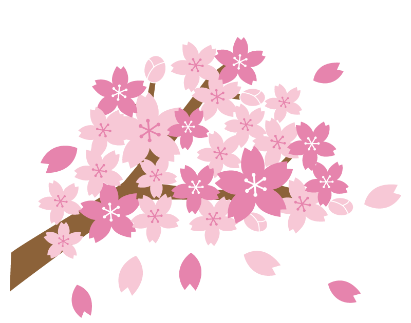 桜 吹雪 画像詳細 12位