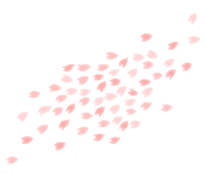 桜 吹雪 画像詳細 3位