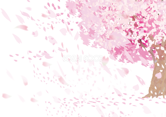 桜 吹雪 画像詳細 9位