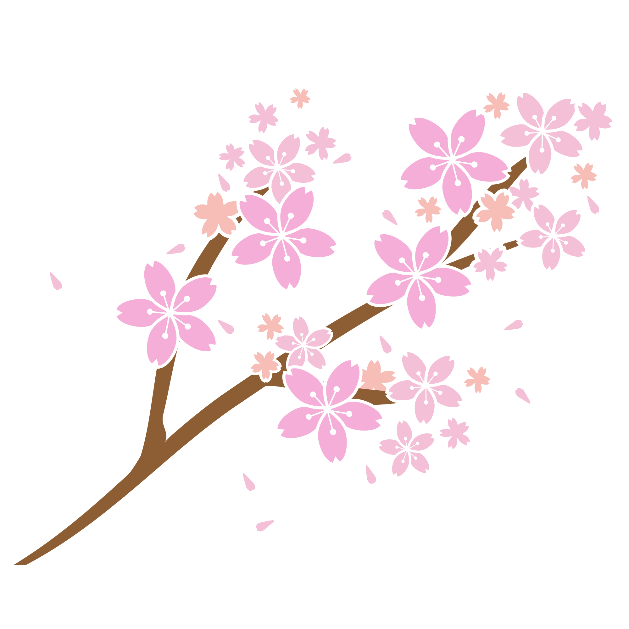 桜 枝 写真詳細 10位