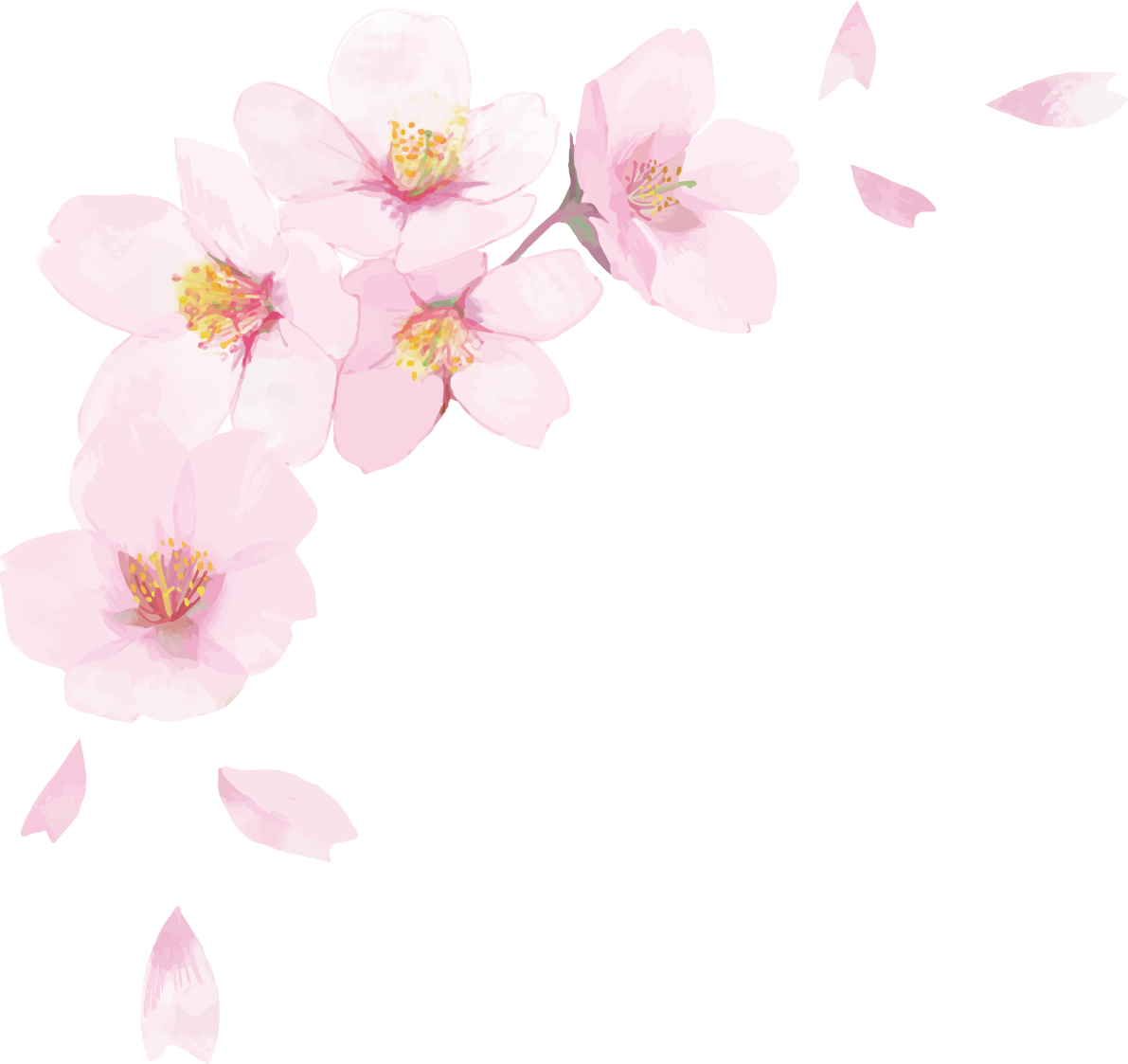 桜 無料詳細 2位