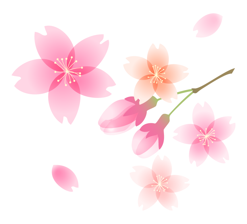 桜 無料 画像詳細 11位