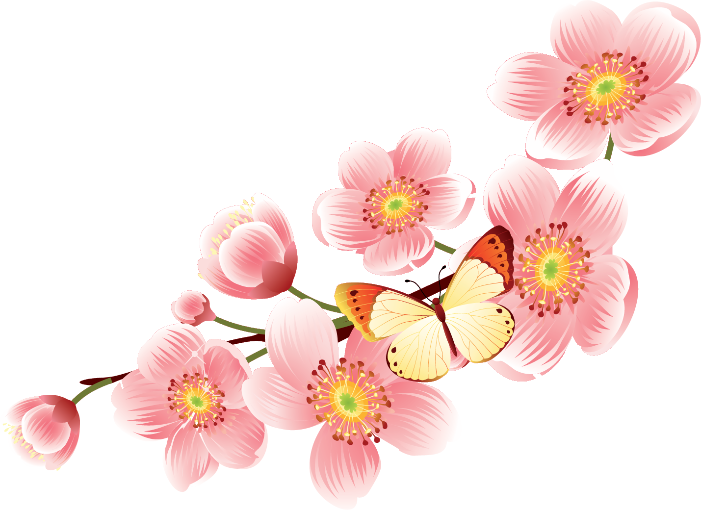 桜 無料 画像詳細 7位