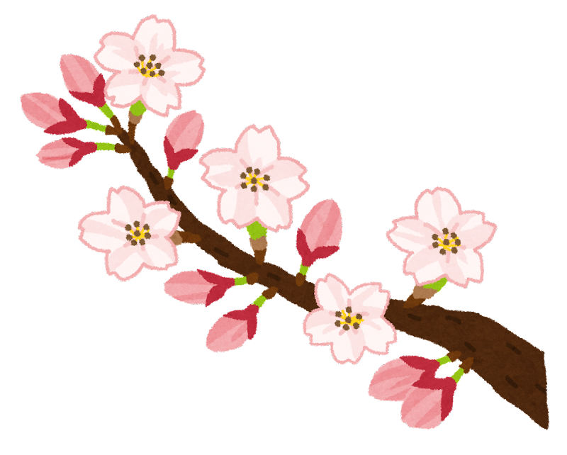 桜 画像 イラスト詳細 3位