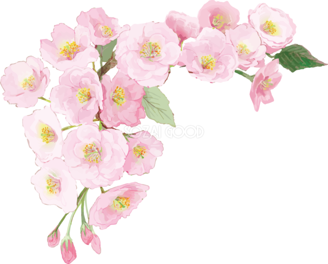 桜 綺麗 イラスト詳細 10位