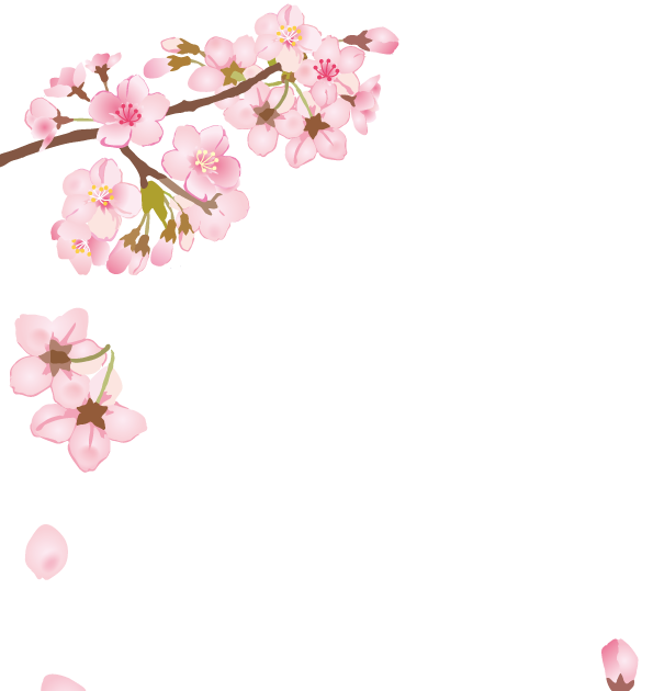 桜 背景 フリー詳細 5位