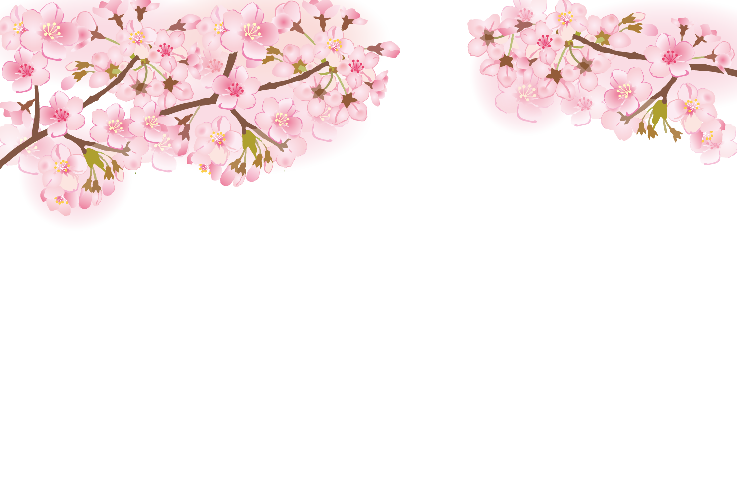 桜 背景 フリー詳細 6位