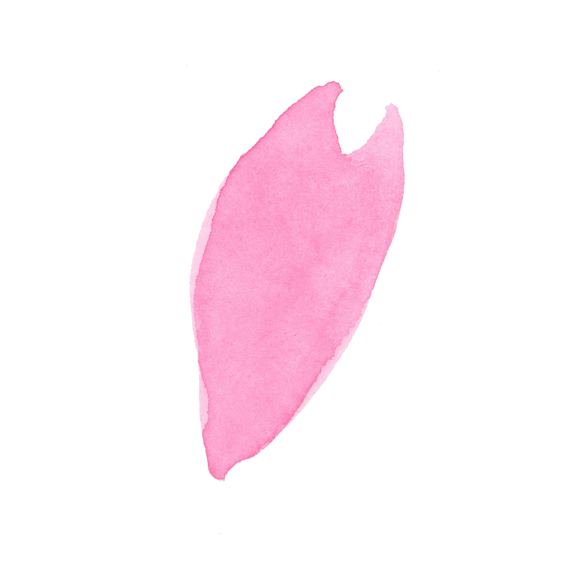 桜 花びら イラスト フリー - KibrisPDR