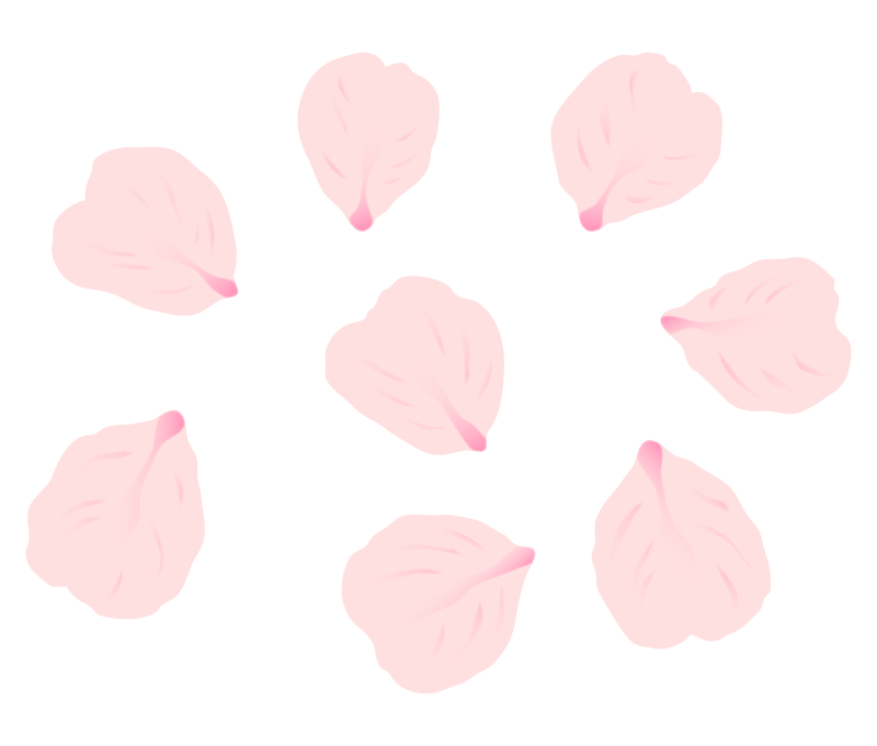 桜 花びら 写真詳細 8位
