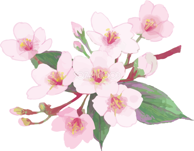 桜の 木 イラスト リアル - KibrisPDR