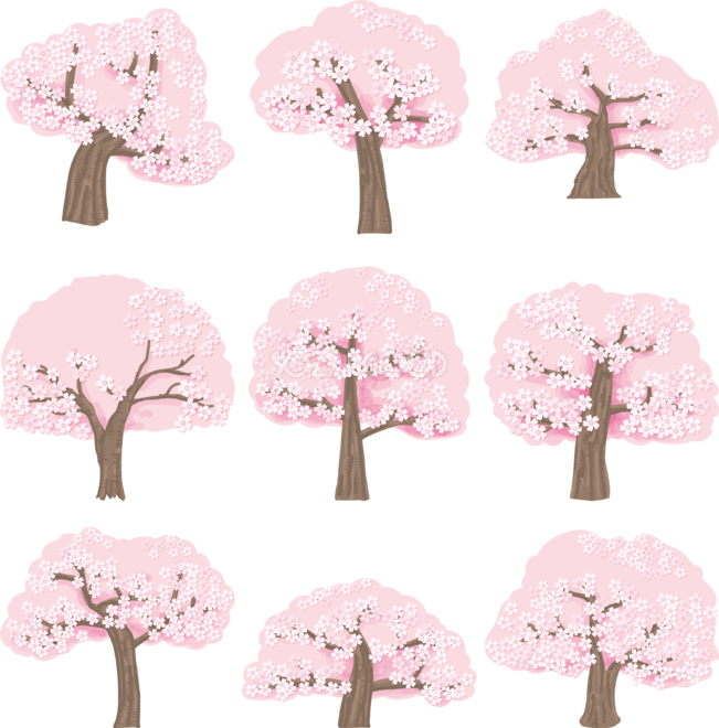 桜の 木 イラスト 簡単詳細 14位