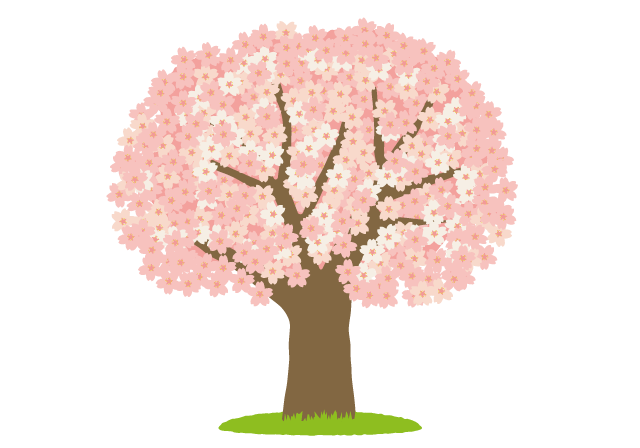 桜の 木 フリー 素材詳細 9位