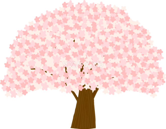 桜の 木 写真詳細 8位