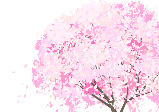 桜の 木 写真詳細 9位