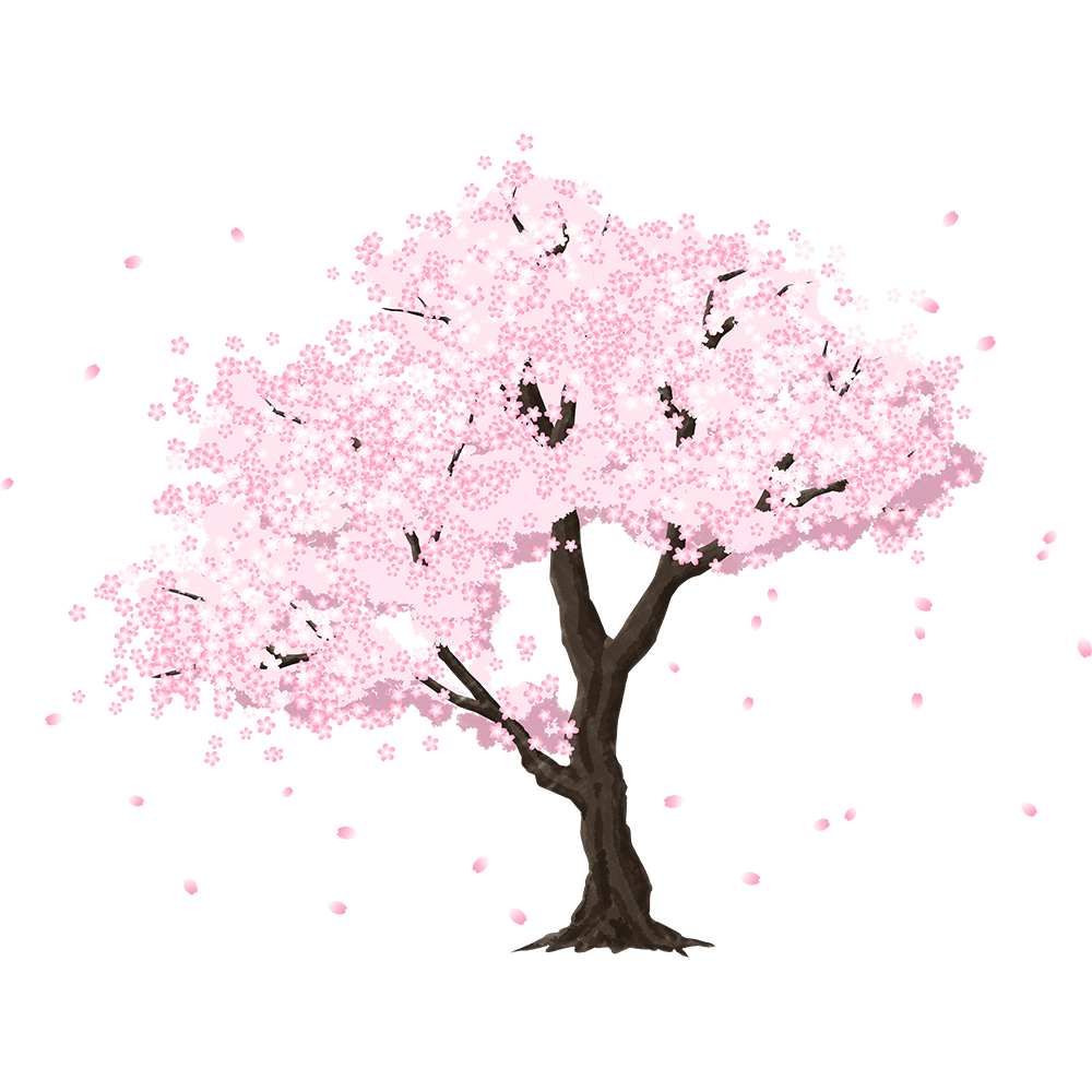 桜の 木 写真詳細 6位