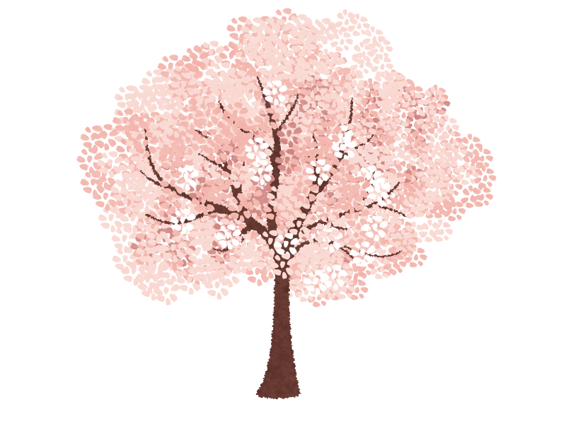 桜の 木 水彩画詳細 10位