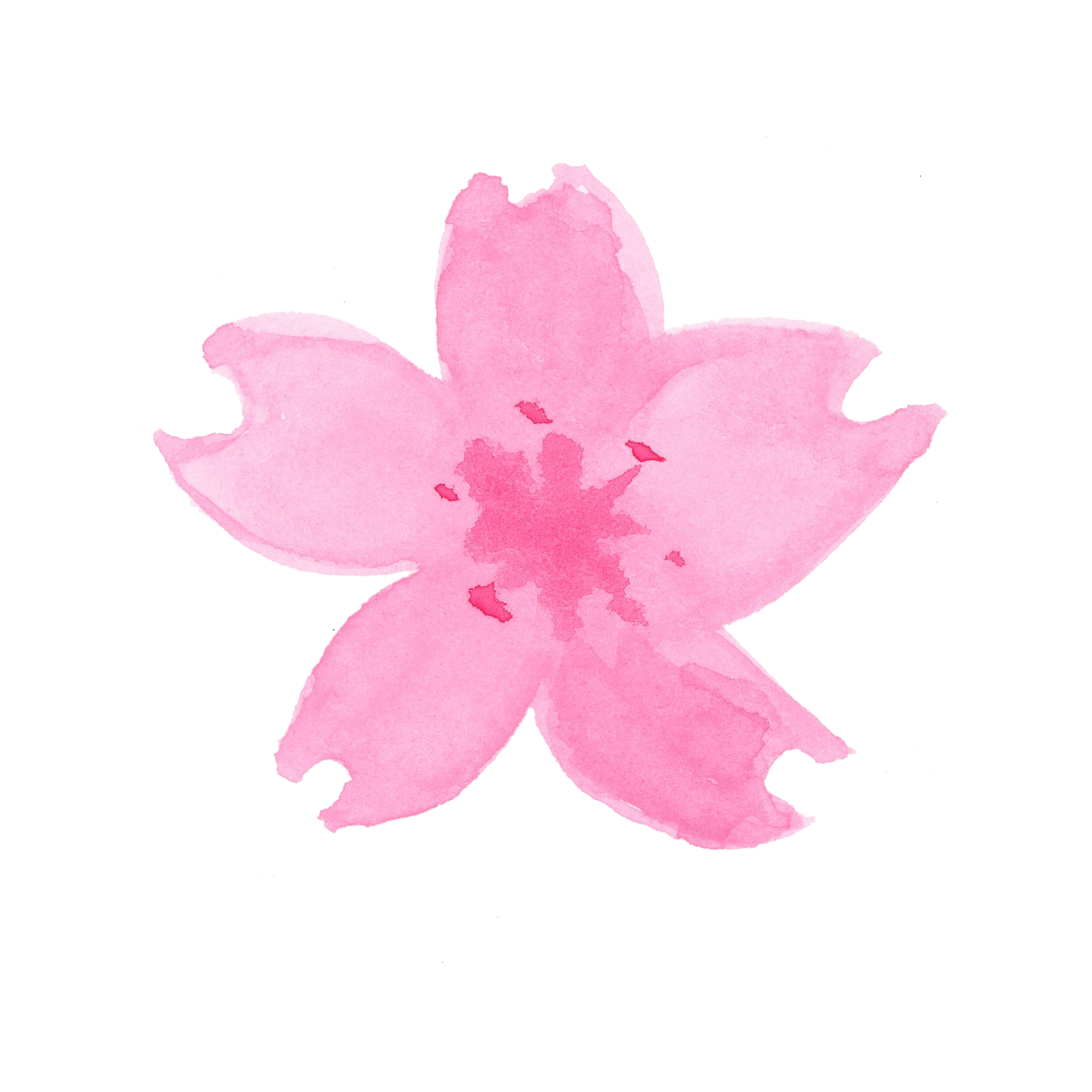ダウンロード 桜の 木 水彩画 コレクションナンバー5