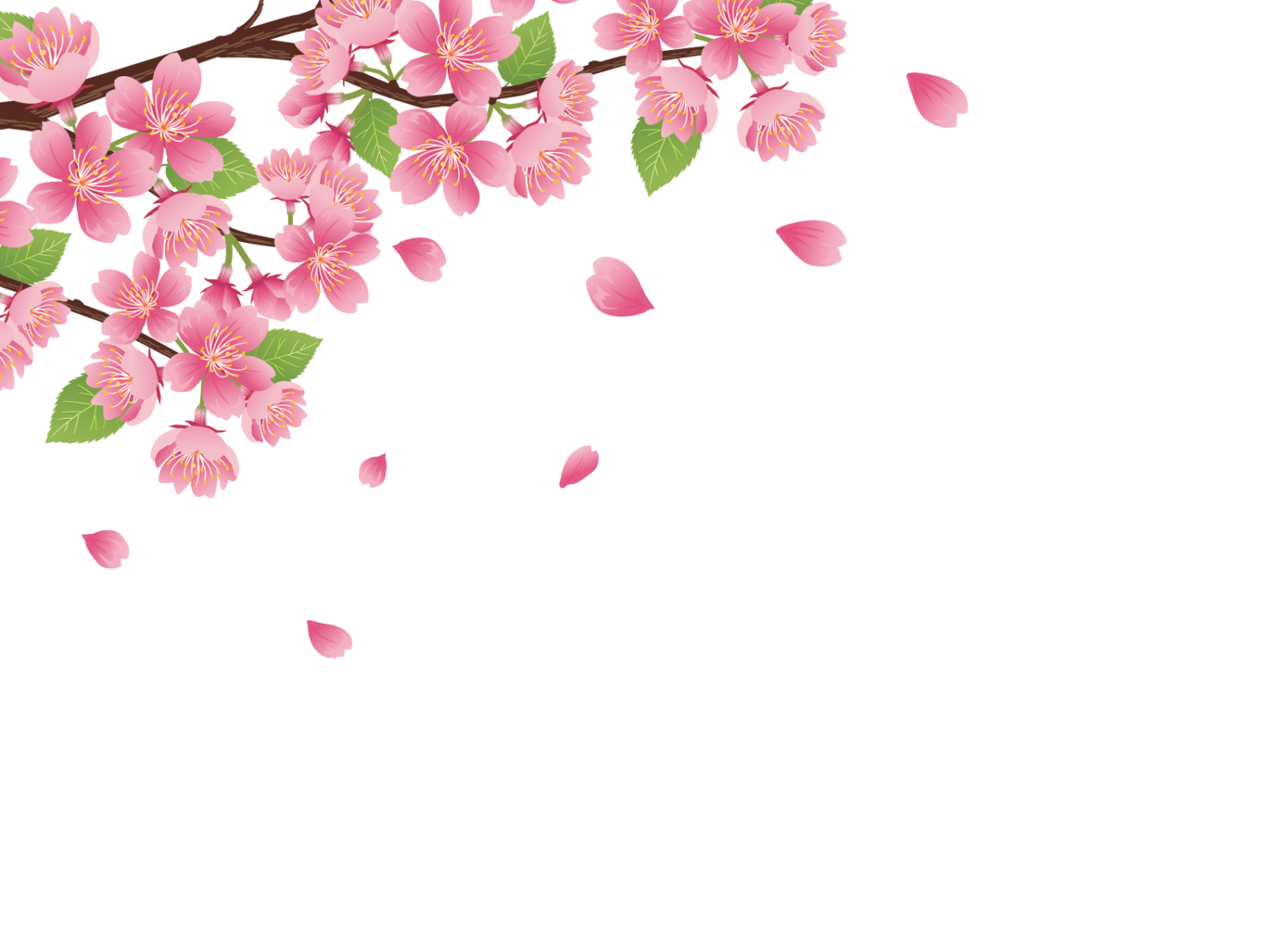桜の 枝 イラスト 簡単 - KibrisPDR