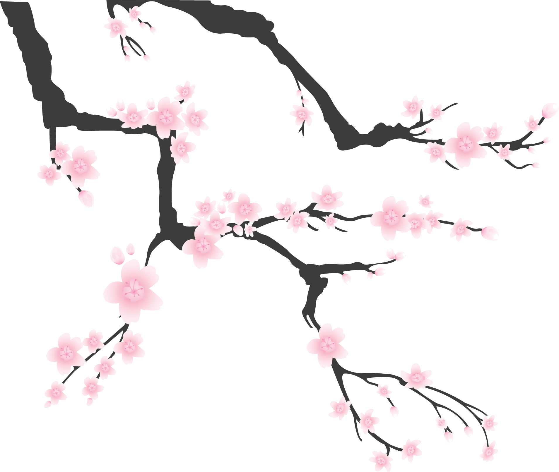 桜の 枝 イラスト 簡単詳細 2位