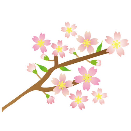 桜の 枝 イラスト 簡単詳細 10位