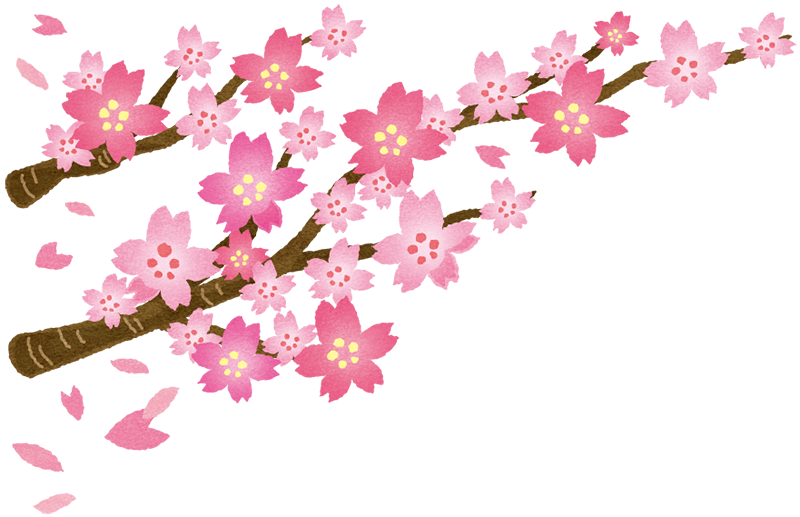 桜の 枝 イラスト 簡単詳細 3位