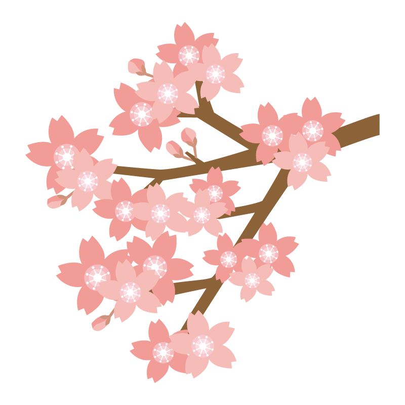 桜の 枝 イラスト 簡単詳細 4位