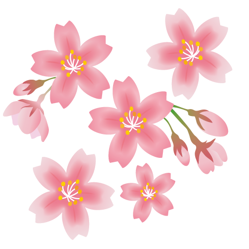 桜の 葉っぱ イラスト詳細 13位