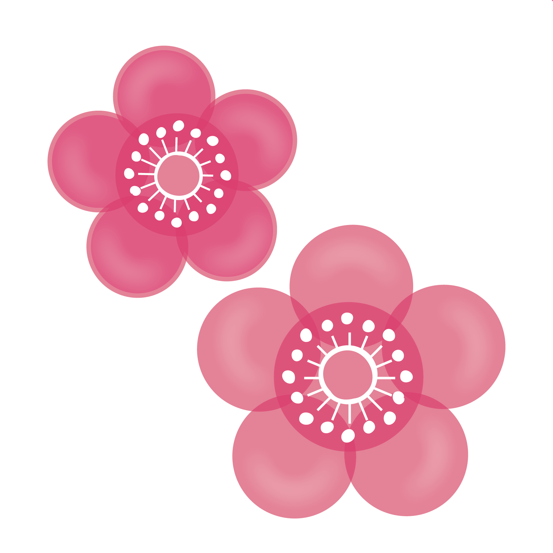梅 の 花 イラスト 簡単詳細 3位
