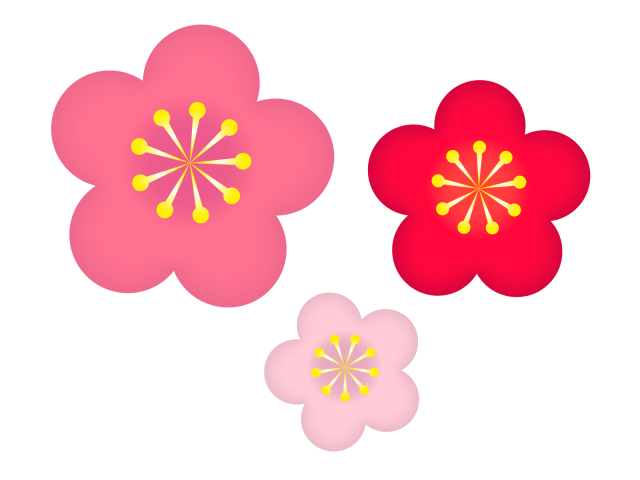 梅 の 花 イラスト 簡単詳細 5位