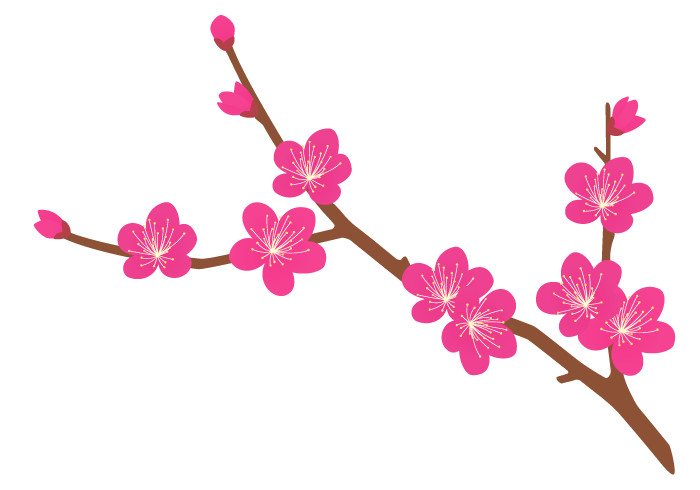 梅 の 花 絵詳細 10位
