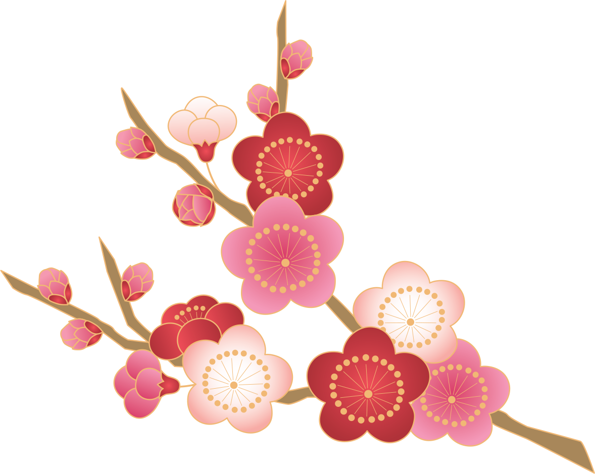 梅 の 花 絵詳細 5位
