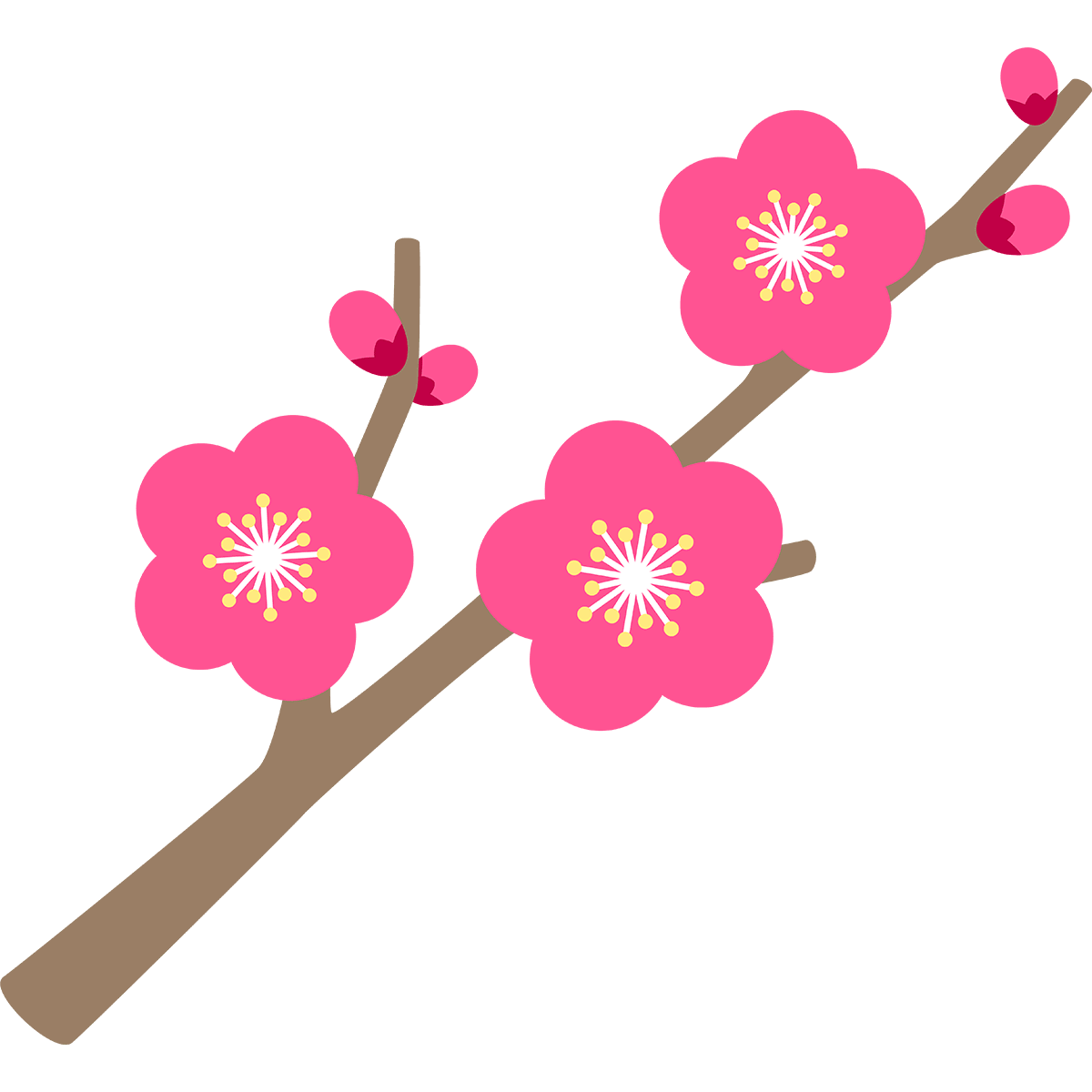梅 フリー 素材詳細 4位