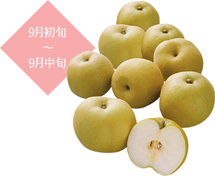 梨 画像詳細 7位